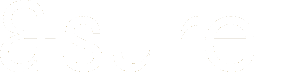 Logo Nsureit